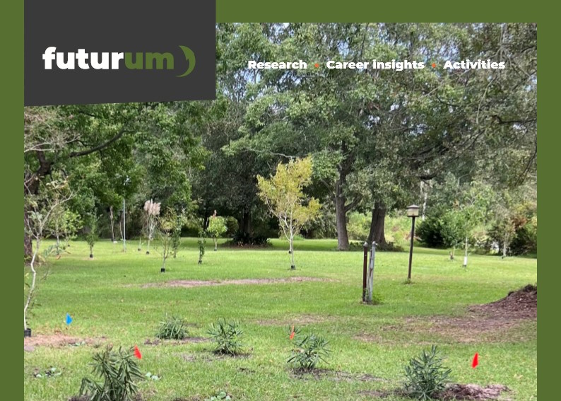 Plant power: how can phytoremediation help tackle pollution?